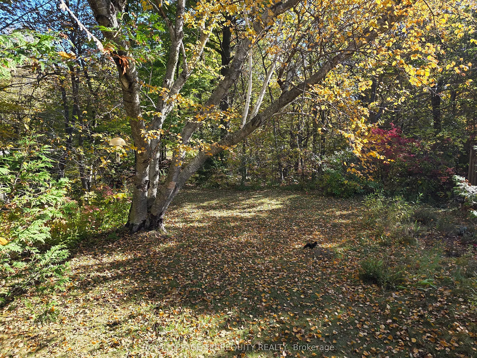 3 bed, $3,195 — Photo 3