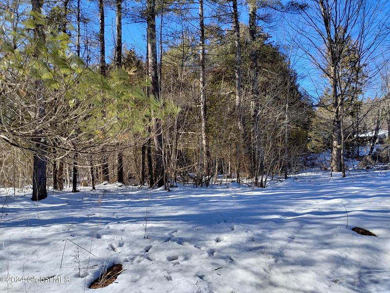 5th image of 1277 White Church Road