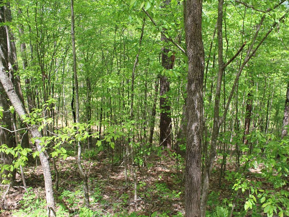 LOT 92 Shiloh Stables, Hayesville, NC 28904 MLS 324548 Zillow