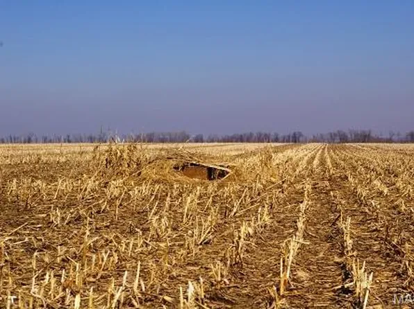 0 Norton Woods Rd, Elsberry, MO 63343