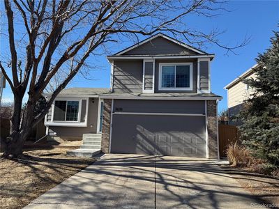 3630 Morning Glory Drive, Castle Rock, CO, 80109