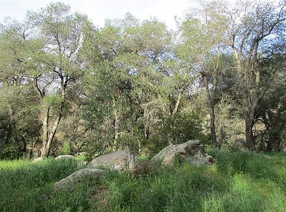 5th image of 000 Mountainbrook Road 76