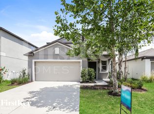 10228 Cool Waterlily Ave, Riverview, FL 33578