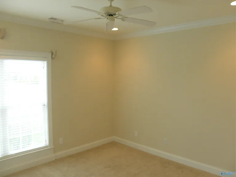 54 Belmont Pl — Photo 10