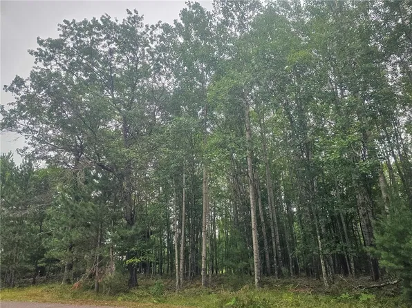 xx Loon Lake Road, Danbury, WI 54830