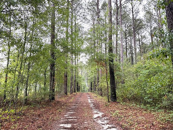 2nd image of 0 Sugar Rd