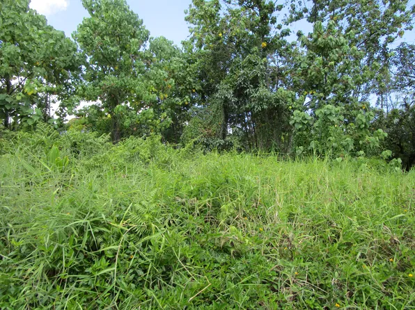 Kupulau Rd Lot 66, Hilo, HI 96720