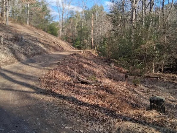 Tbd Gullion Fork Rd, Wytheville, VA 24382