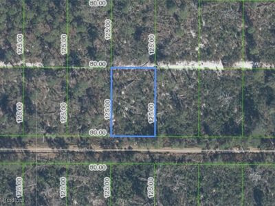 442 Parrot Ave, Sebring, FL, 33872