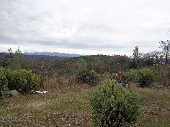 5th image of Backbone Rd