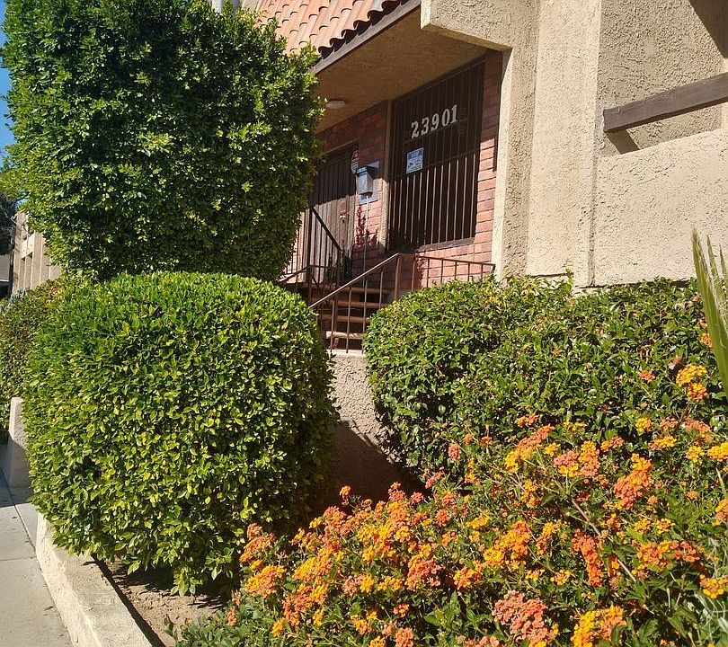 1st image of 23901 Los Rosas St #207