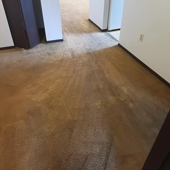 7484 Delmar Way #201 — Photo 5