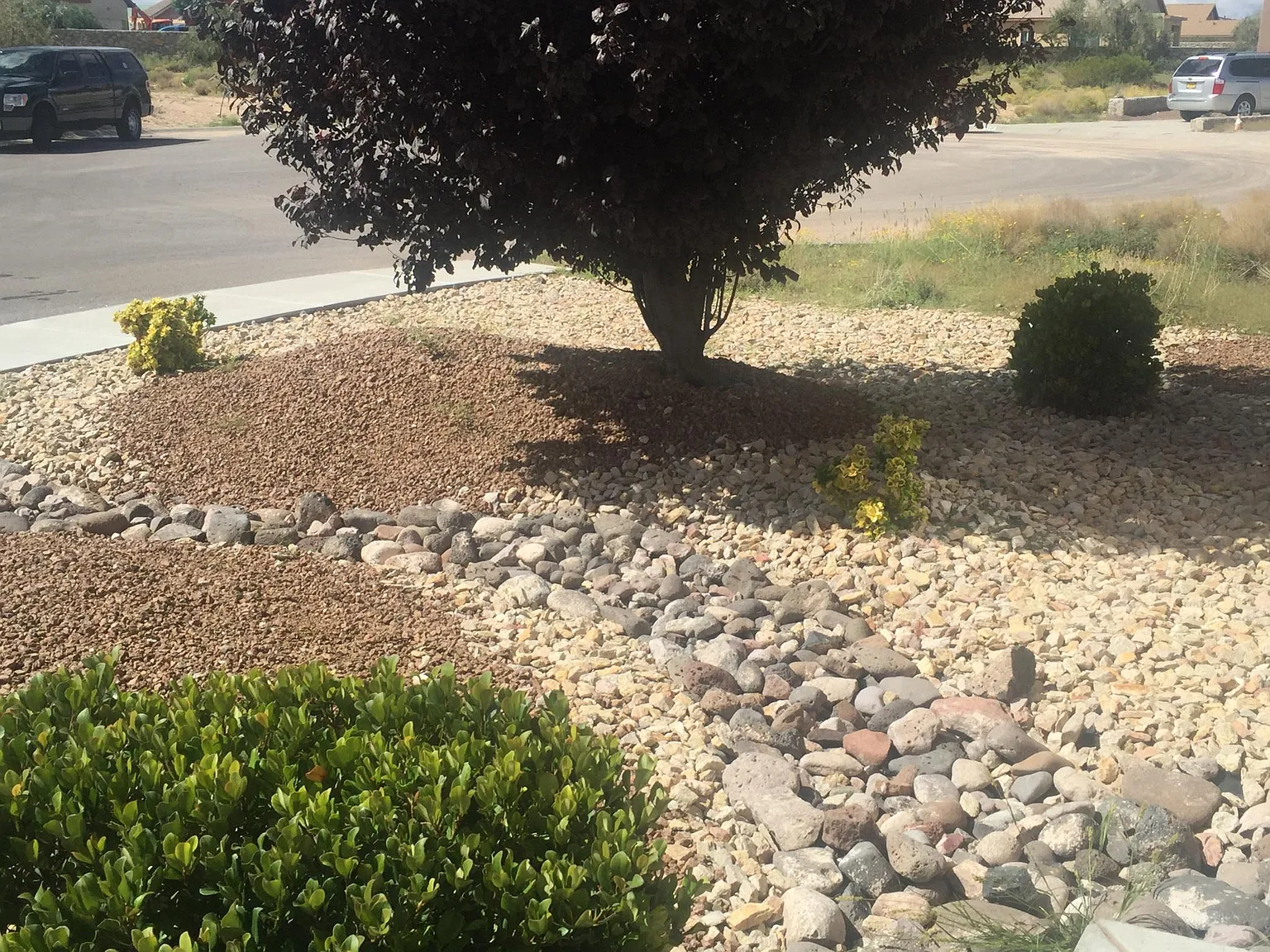 3519 Sierra Bonita Avenue — Photo 2