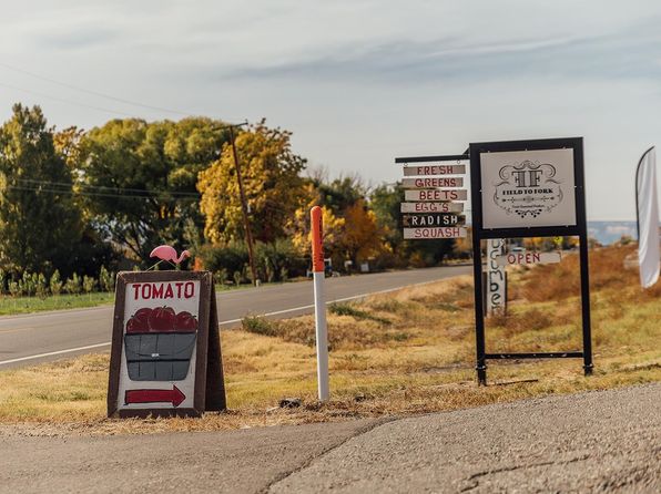 3526 Front St, Palisade, CO 81526