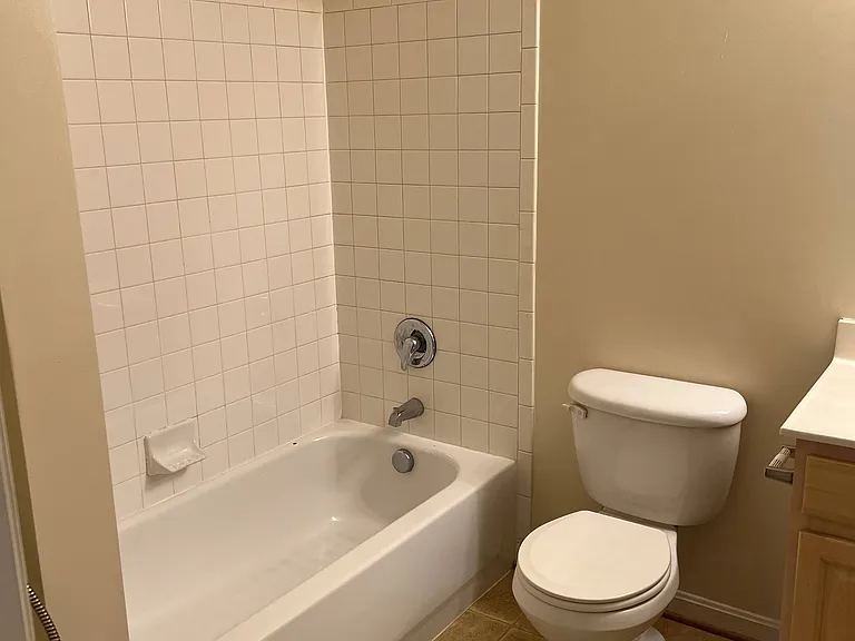 439 Hopkins Landing Dr — Photo 26