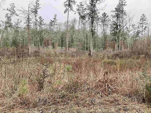 4th image of 3855 Fm 420 Rd