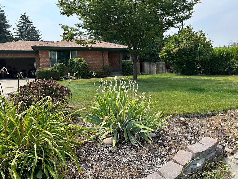 Front yard