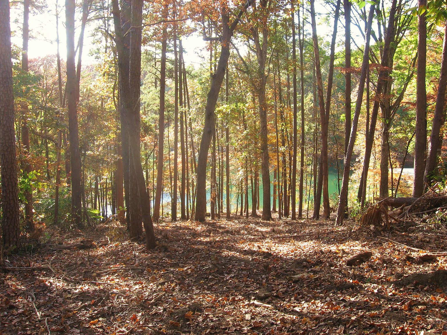 35 Southwind Bay, Seneca, SC 29672 Zillow