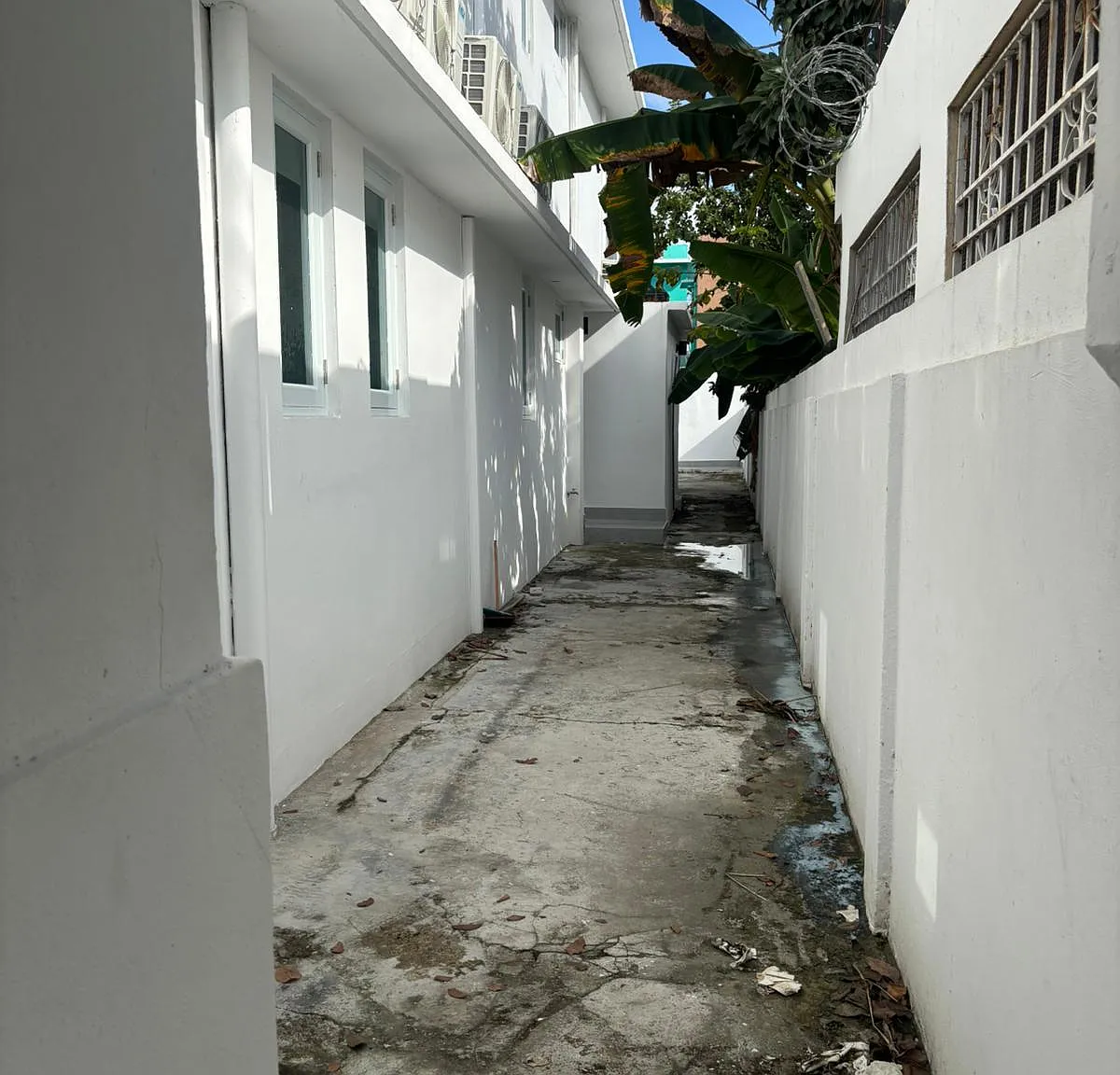 2 bed, 385 sqft, $1,025 — Photo 2