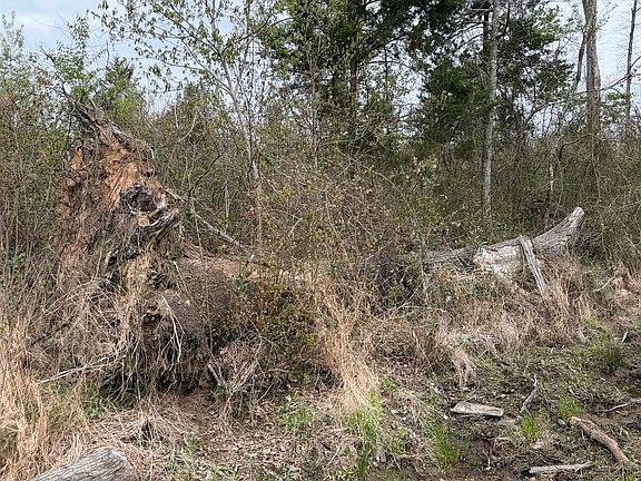 3rd image of County Road 3309 Pope Rd #1