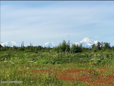 9783 E Two Block Rd, Trapper Creek, AK, 99683