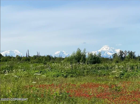 9783 E Two Block Rd, Trapper Creek, AK 99683