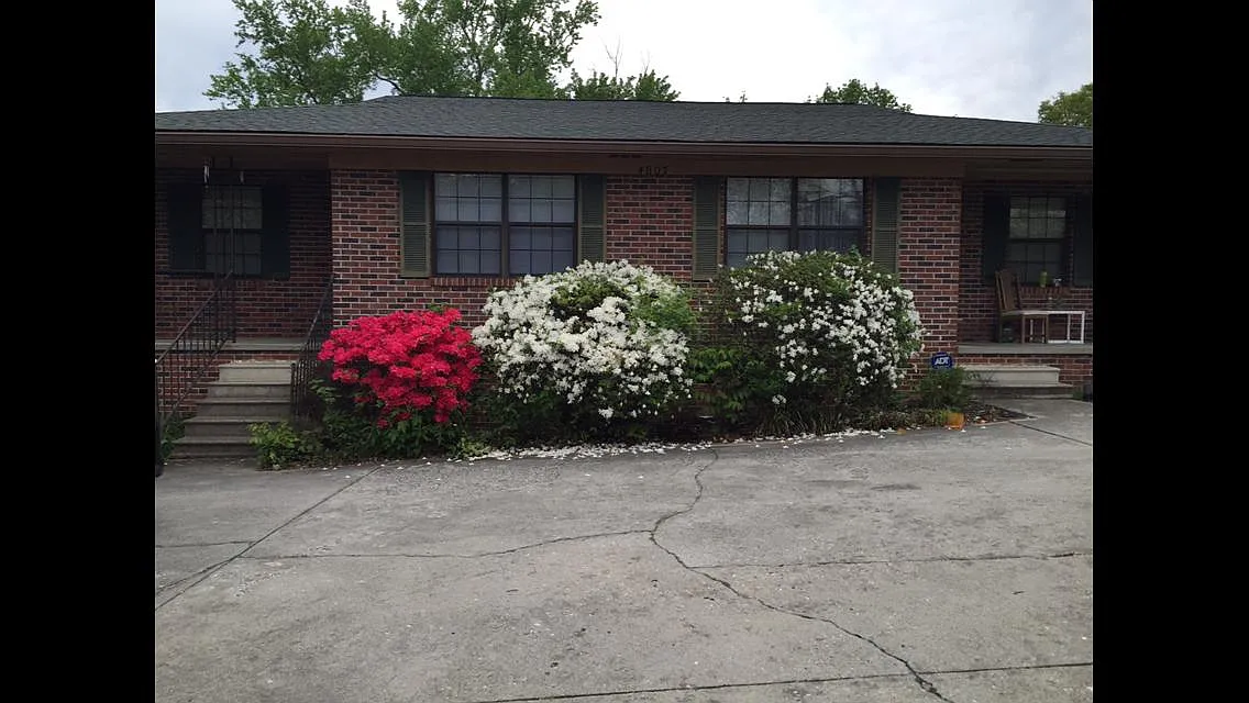 Maple Road, Knoxville — Photo 1