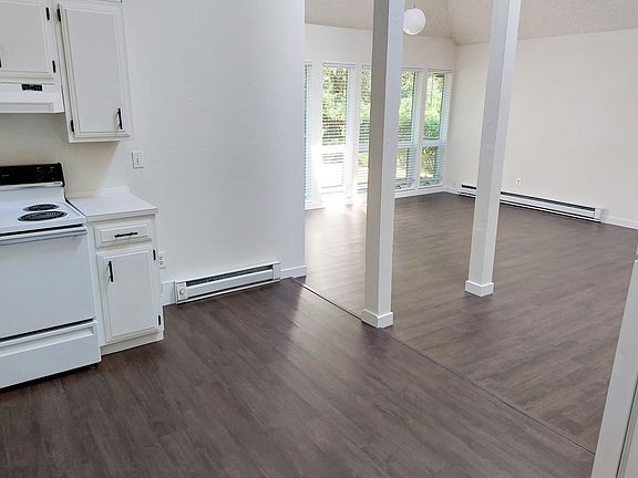 Kitchen and Living room in the back