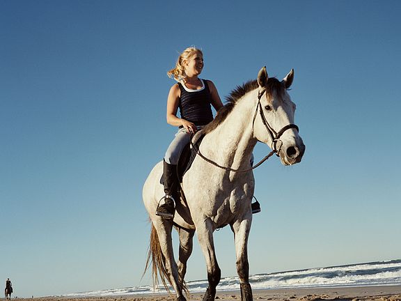 Beach Horseback Riding!