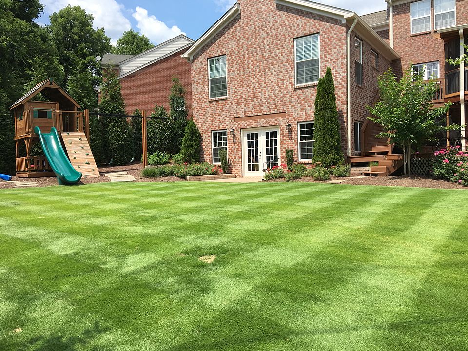 Back yard addition