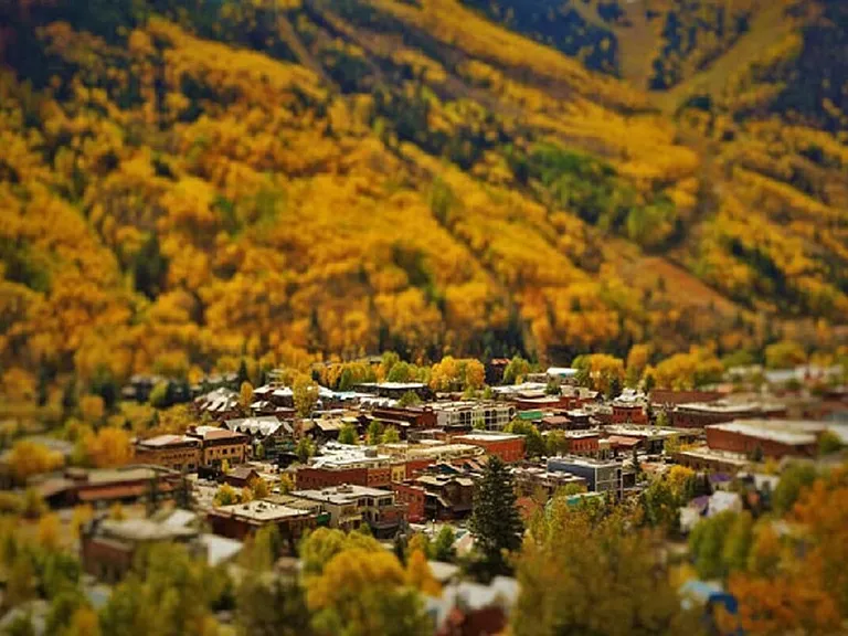 Neighborhood