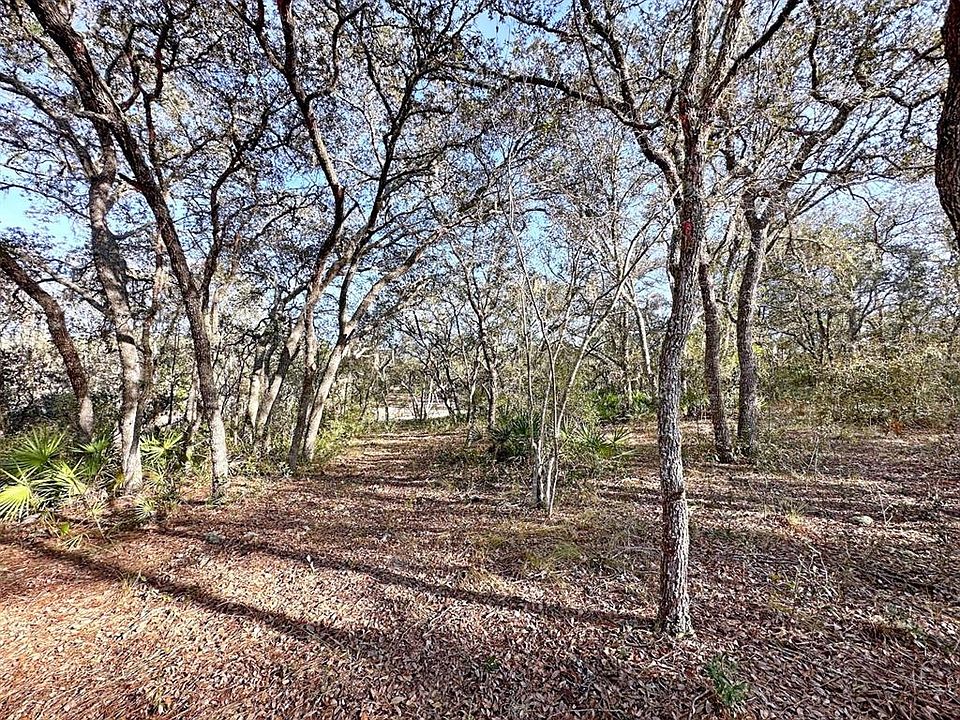 1st image of 8279 Renova Dr #6