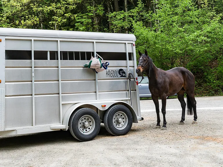 Equestrian setting near Bridle Trails with nearby riding paths and wooded routes, connecting residents to a distinct outdoor lifestyle shaped by horses.