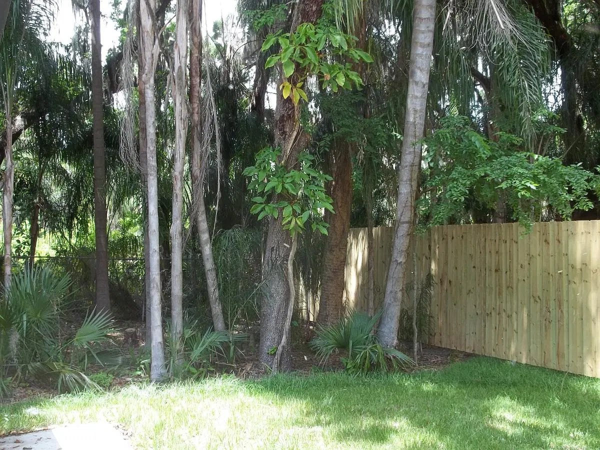 2 bed, 2000 sqft, $2,110 — Photo 3