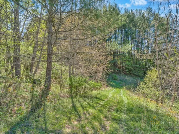 Lot 7 Paradise Valley Estates, Creston, NC 28615