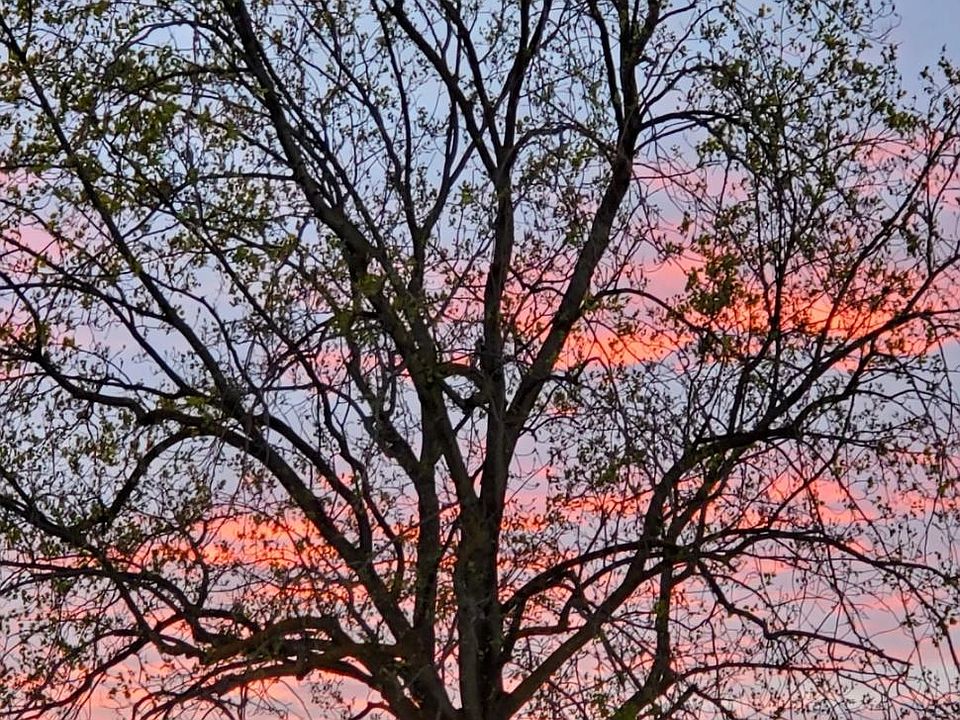 Beautiful Folsom sun sets!