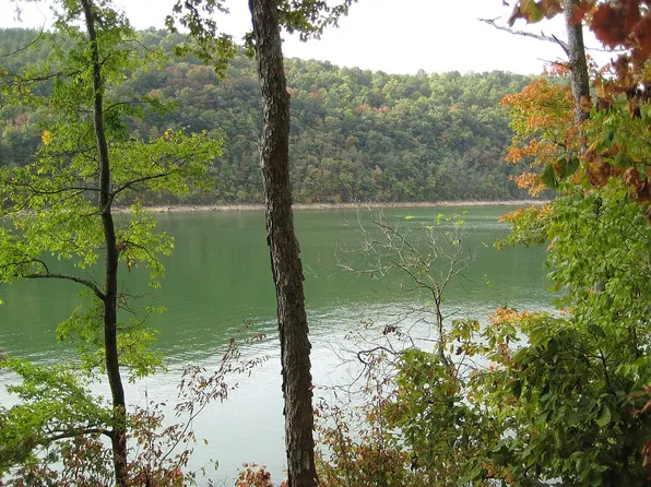 Driftwood Ct, New Tazewell, TN 37825