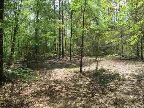 1st image of 325 Private Road 3655