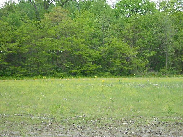 2nd image of 9538 E State Road 42