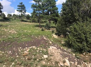 2225 Roundabout Way, Overgaard, AZ 85933