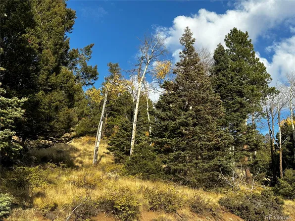 328 Schierl Road LOT 328, Fort Garland, CO 81133