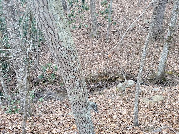 5th image of LOT 5 Swann Saddle Rd