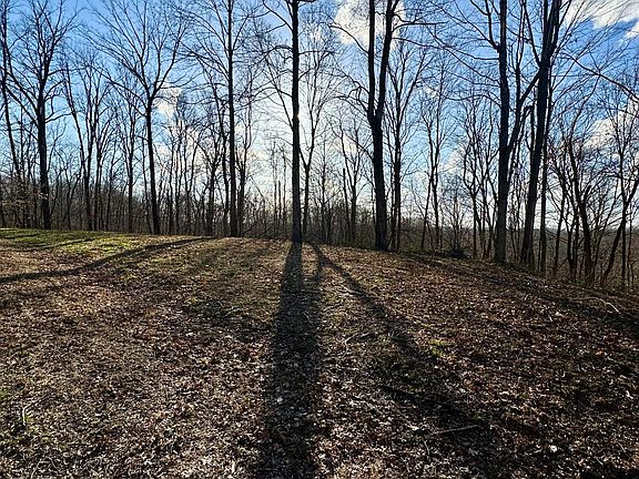 2nd image of 2 Malone Ridge Rd #2