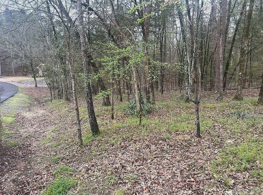 2nd image of 76 Tiburon Way