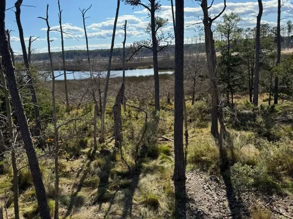 Robinson Neck Rd, Taylors Island, MD 21669