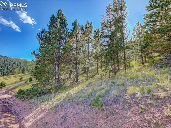 1058 Monarch Dr, Cripple Creek, CO 80813