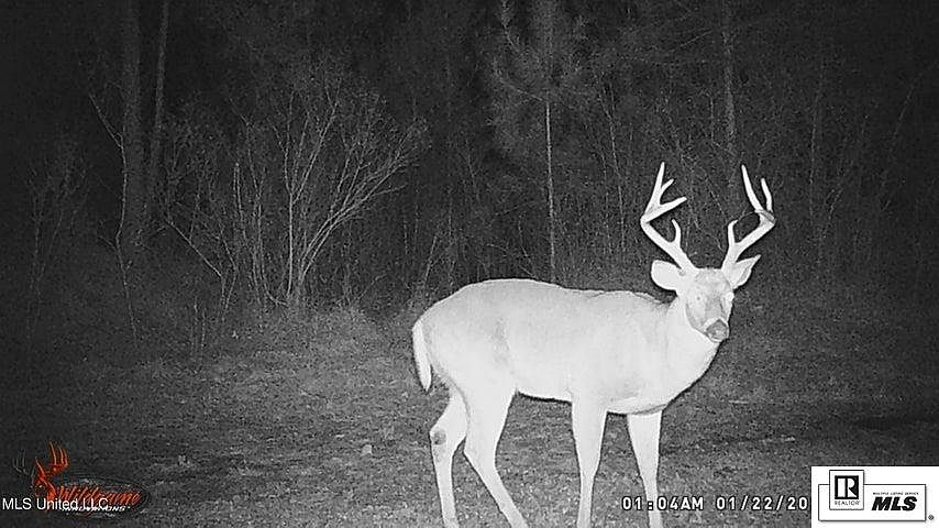 1st image of 0 Cannaday Rd