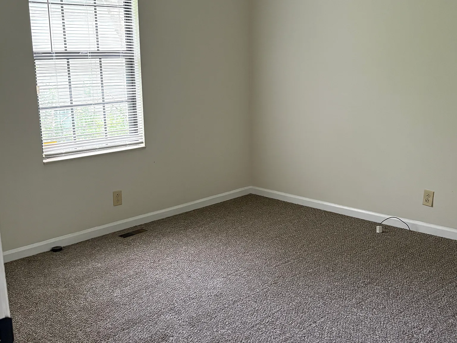 113 W Fork Dr — Photo 4