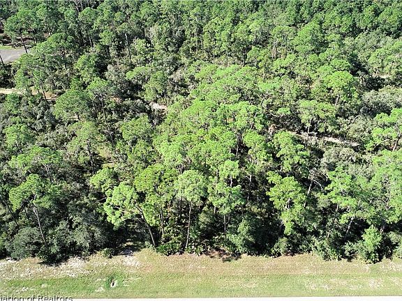 2nd image of 3023 Woodland Creek Trl