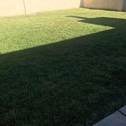 2nd image of 801 Catalina Dr